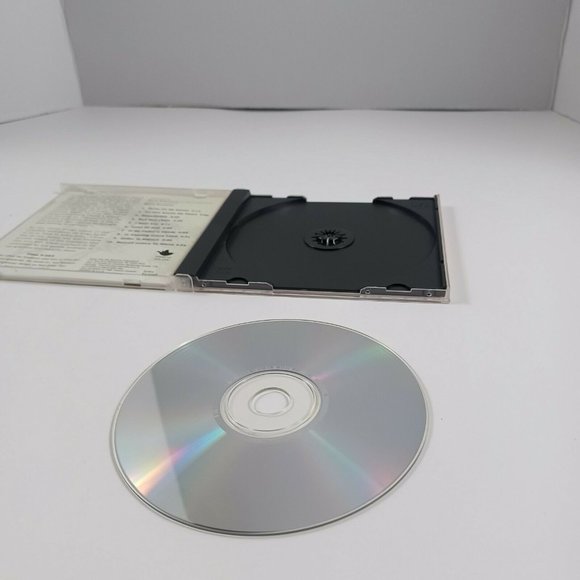 Susan Ashton Awakened By The Wind -Christian **MINIMAL WEAR - Picture 11 of 13